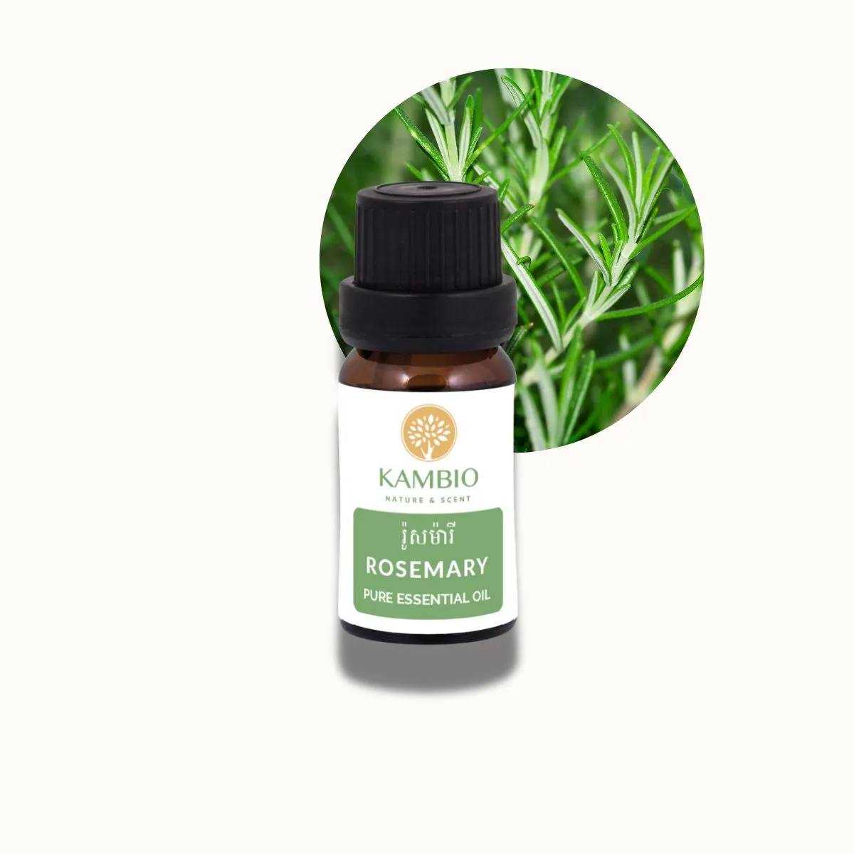 Rosemary / Essential oil